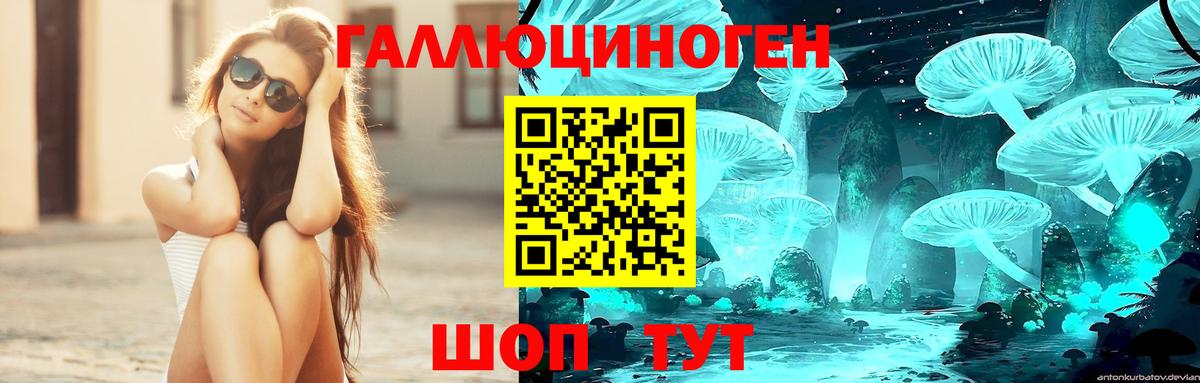 Красногорск  Галлюциногенные грибы GOLDEN TEACHER  Псилоцибиновые грибы Cubensis  Вход с VPN 