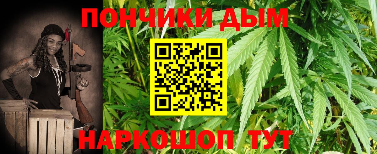 Бошки Шишки гибрид Красногорск